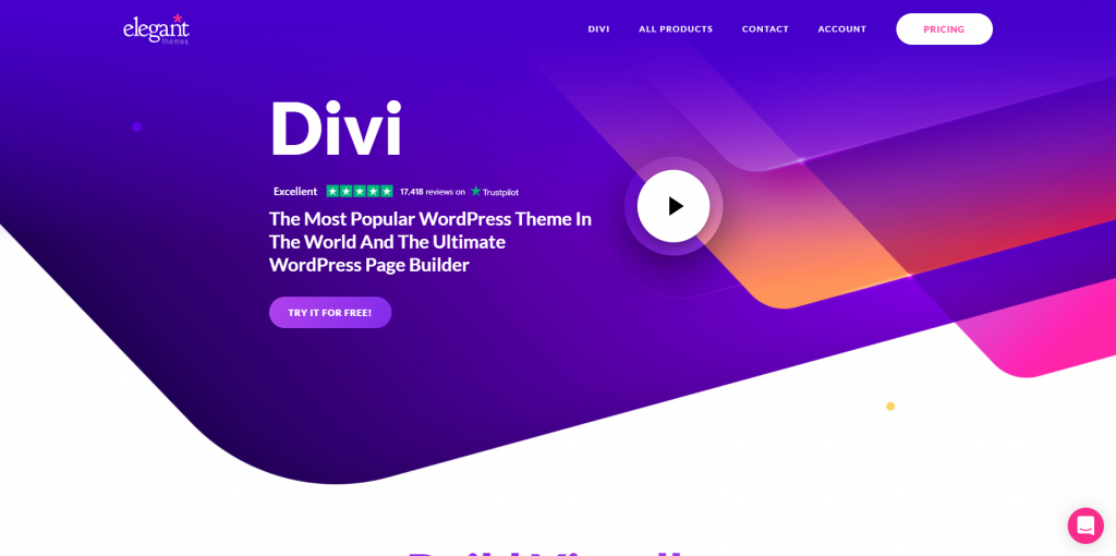 WordPress theme "Divi".