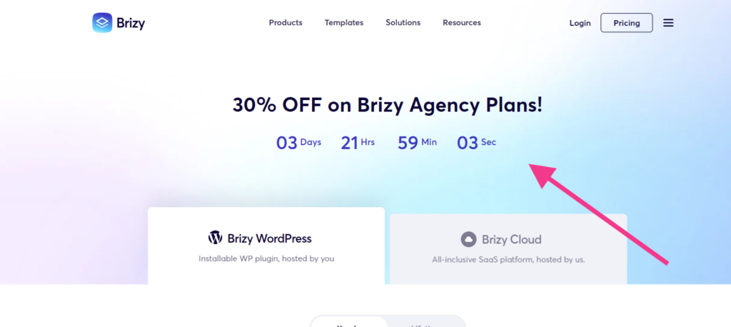 WordPressページビルダー「Brizy」の3つのデメリット・解決方法を解説