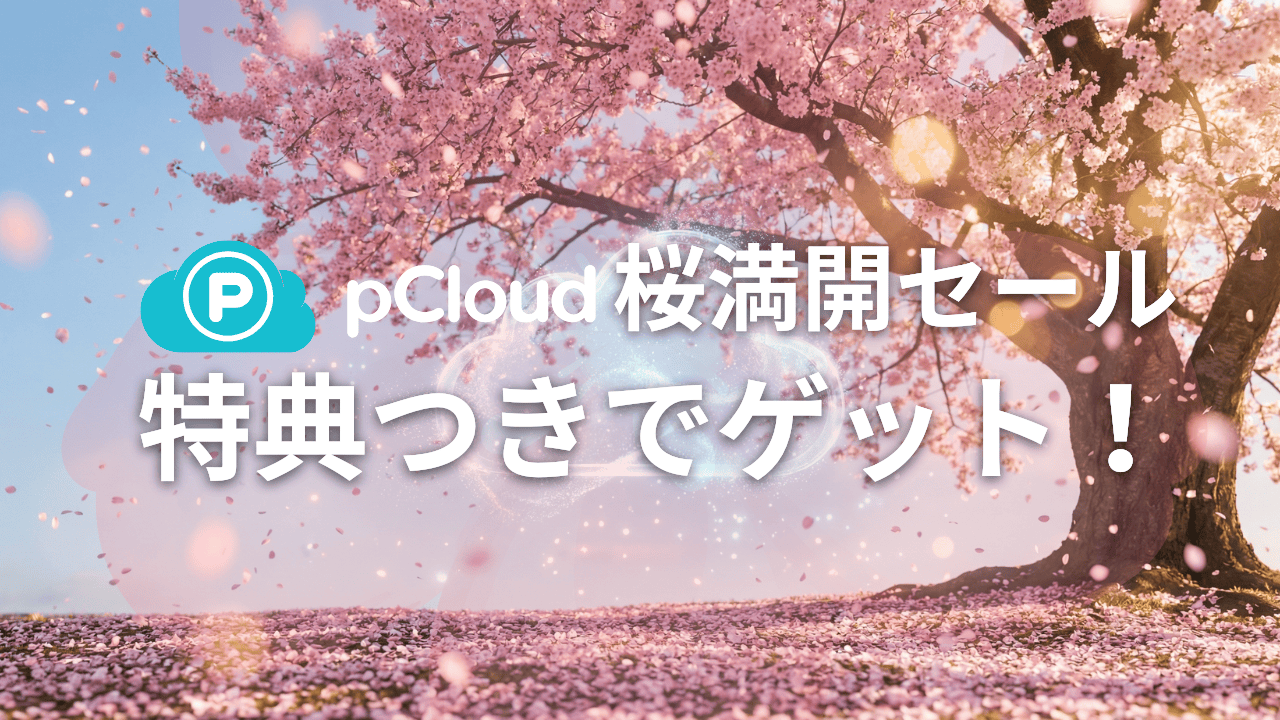 満開の桜の木に、pCloudのロゴと日本語のテキストを配し、桜満開のスプリングセールとスペシャルボーナスを強調。.